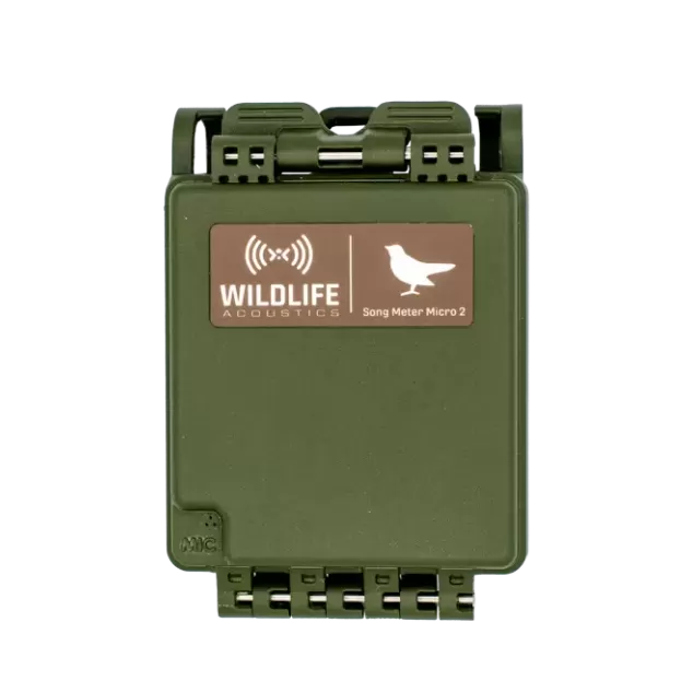 Dispositivo acústico Song Meter Micro 2 empleado por Biostudios para el registro de vocalizaciones de aves durante estudios de impacto ambiental en Chile